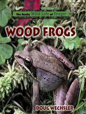 cover image of Wood Frogs